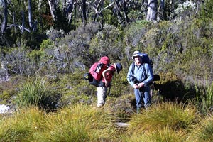 Walkers on the Overland Track