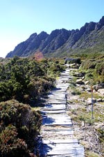 Towards Cradle Mountain