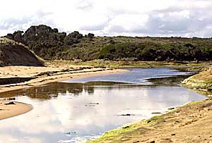 A stream flows out to the sea near the Twelve Apostles.