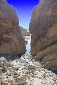 the red lizard passes a stream in gorge