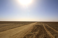 The Chott el Jerid