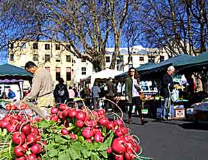 Food stalls at Salamanca market, Hobart Tasmania 