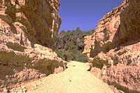 Looking back through the gorge to the Tamerza oasis