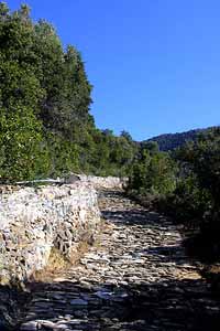 Track into the hills on Mt Athos